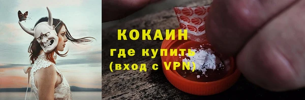 дмт Лиски