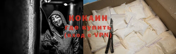дмт Лиски