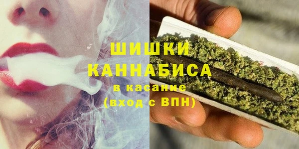 дмт Лиски