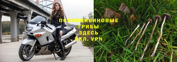 гидра Лабытнанги